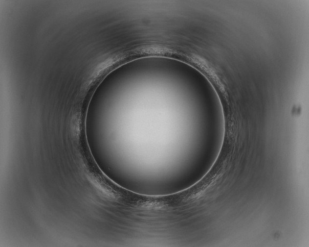 X0000096180063200801181321