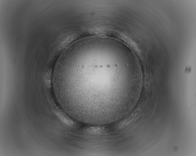 X0000096180065200801181321