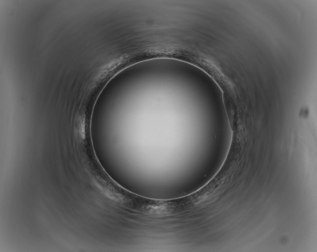 X0000096180068200801181321