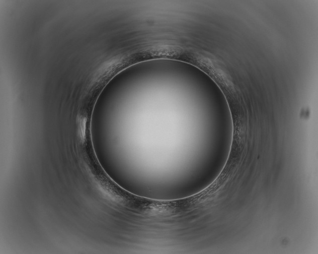 X0000096180070200801181321
