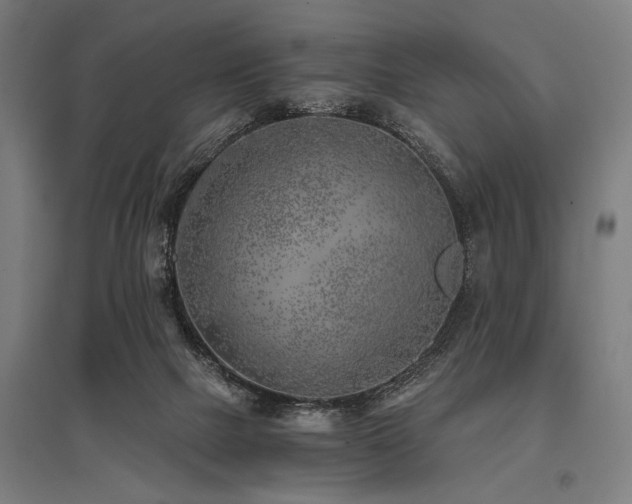 X0000096180073200801181321
