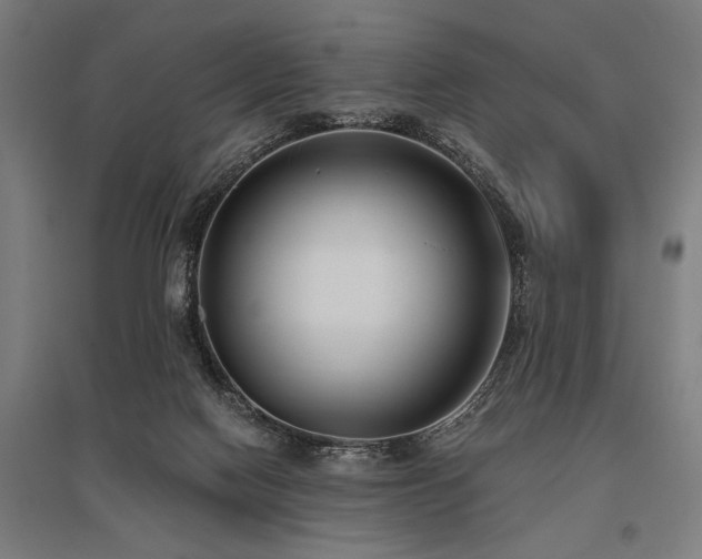 X0000096180074200801181321