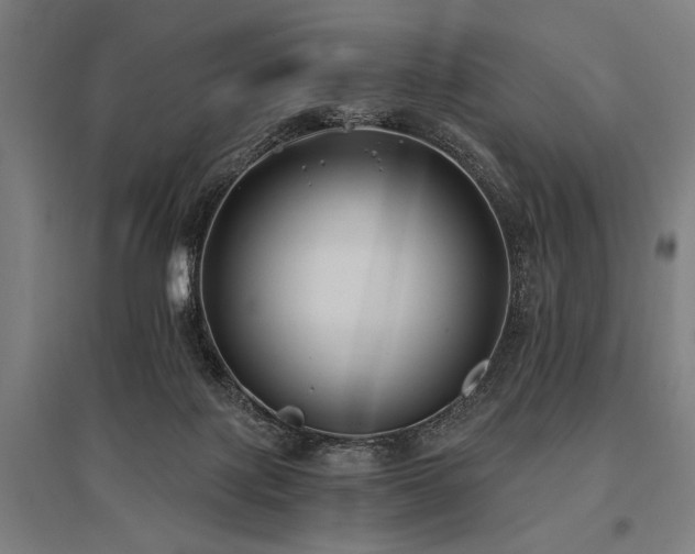 X0000096180075200801181321
