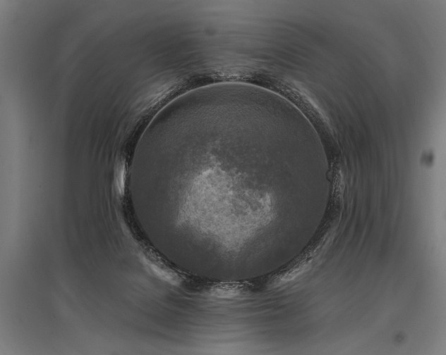 X0000096180076200801181321