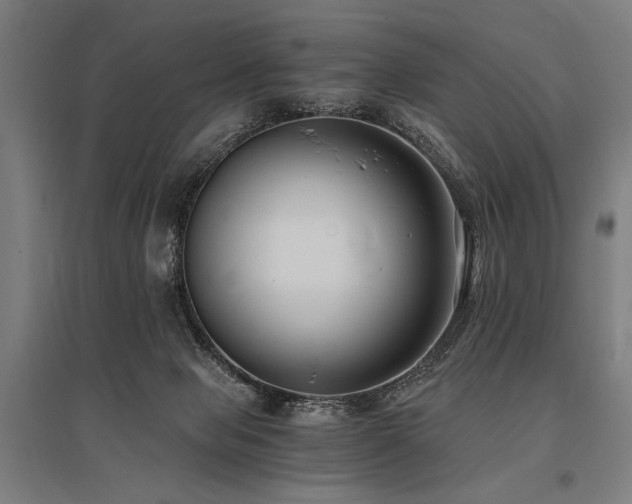X0000096180077200801181321