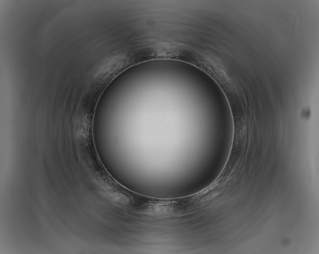 X0000096180078200801181321