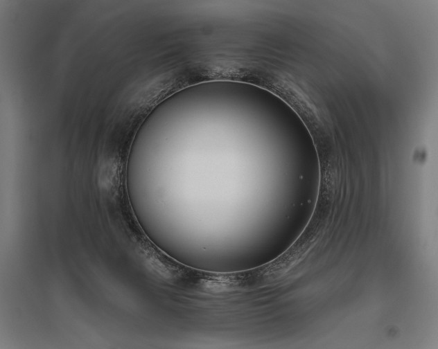 X0000096180079200801181321