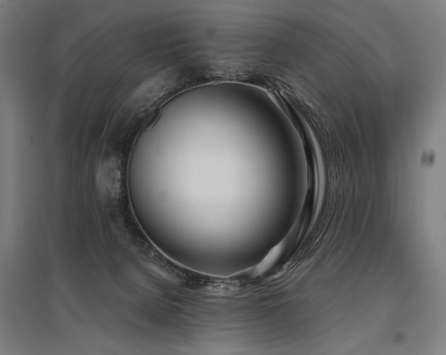 X0000096180080200801181321