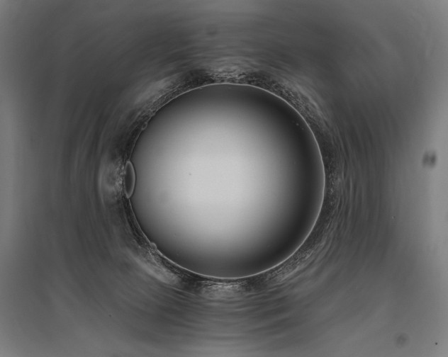 X0000096180081200801181321