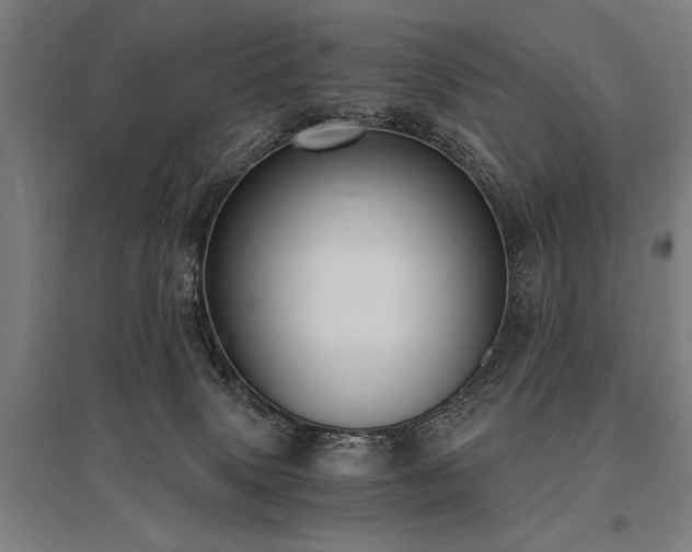X0000096180083200801181322