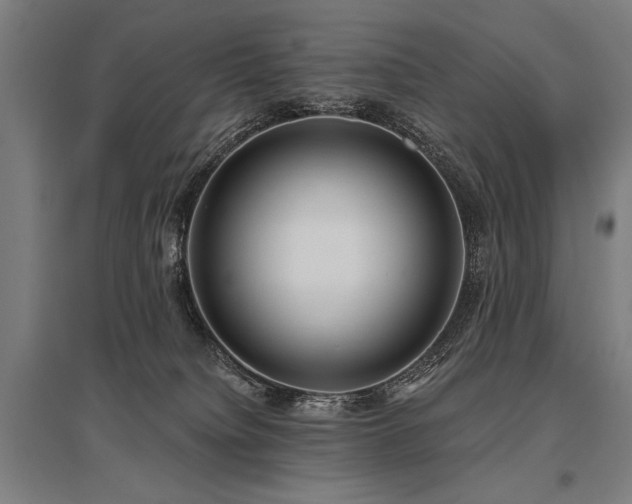 X0000096180084200801181322