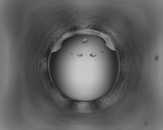 X0000096180085200801181322