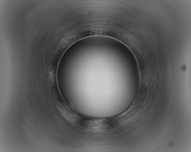 X0000096180086200801181322