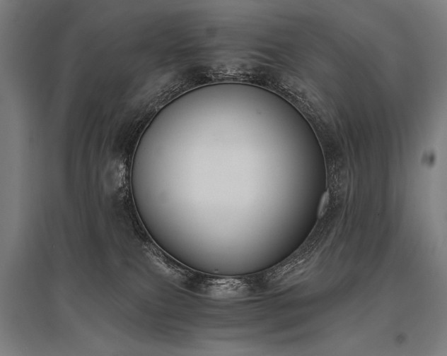 X0000096180087200801181322