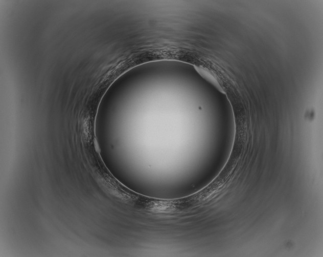 X0000096180088200801181322