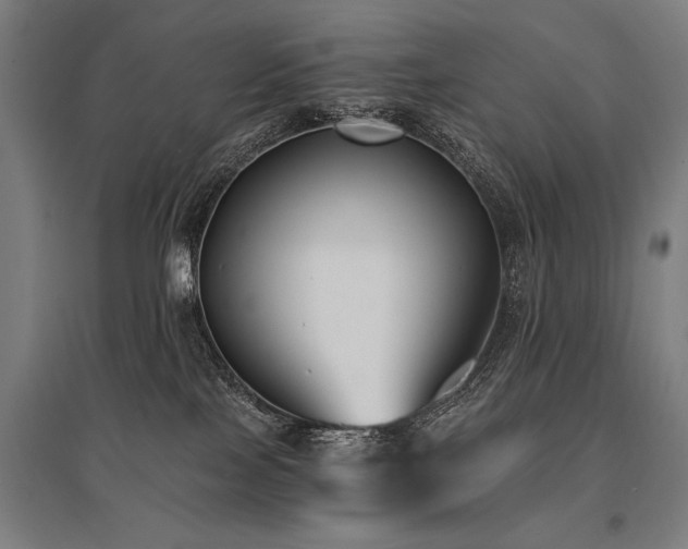 X0000096180089200801181322