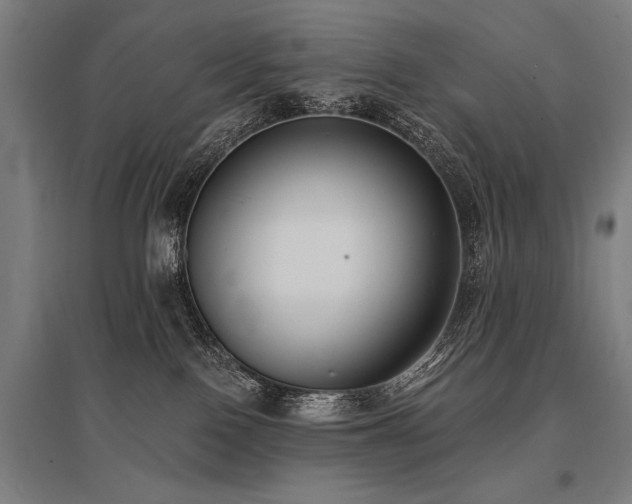 X0000096180090200801181322