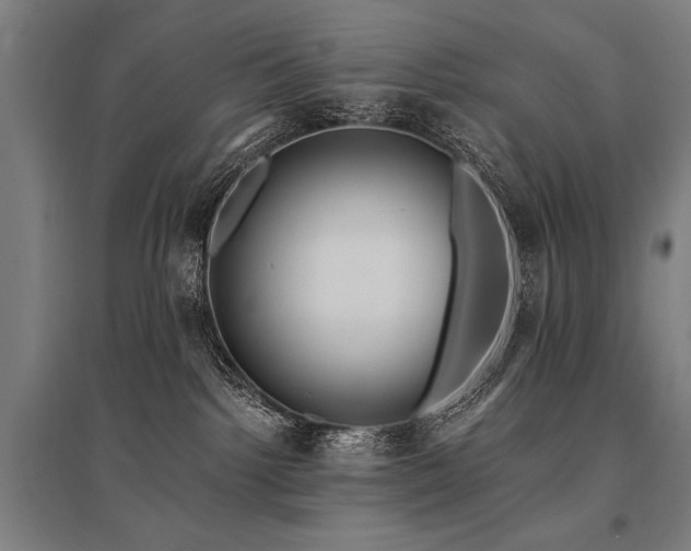 X0000096180092200801181322