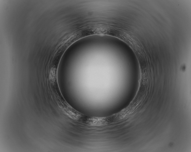 X0000096180093200801181322