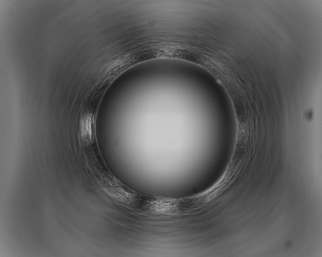 X0000096180094200801181322
