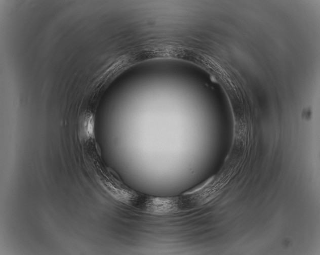 X0000096180095200801181322