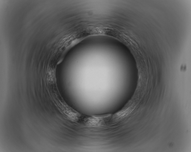 X0000096180096200801181322