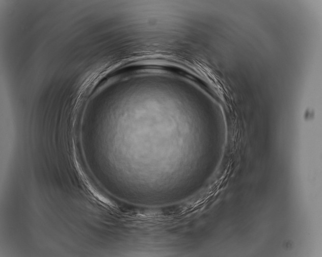 X0000096180097200801181321