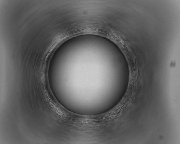 X0000096180098200801181321