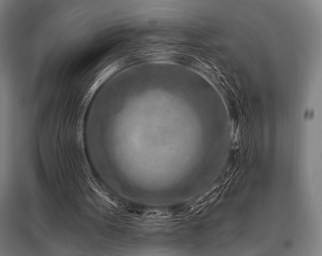 X0000096180099200801181321
