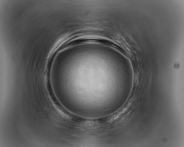 X0000096180101200801181321