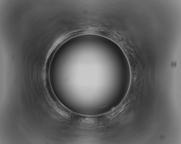 X0000096180102200801181321