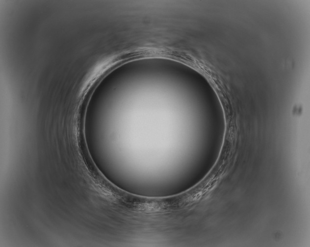 X0000096180103200801181321
