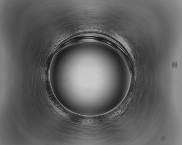 X0000096180105200801181321