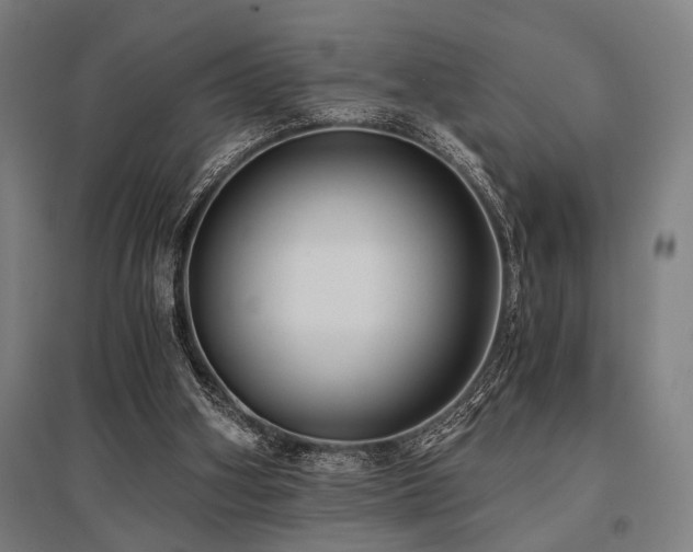 X0000096180106200801181321