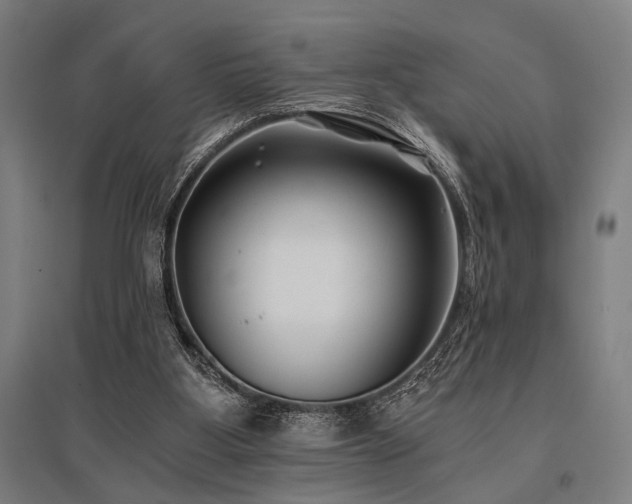 X0000096180107200801181321