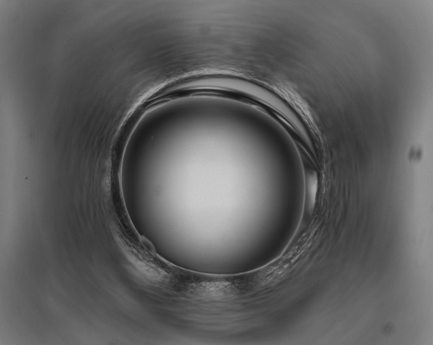 X0000096180108200801181321
