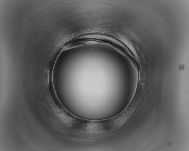 X0000096180109200801181321