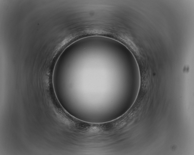 X0000096180111200801181321