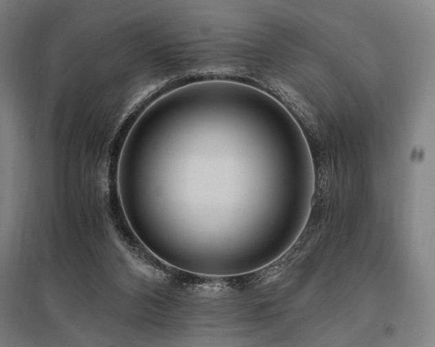 X0000096180112200801181321
