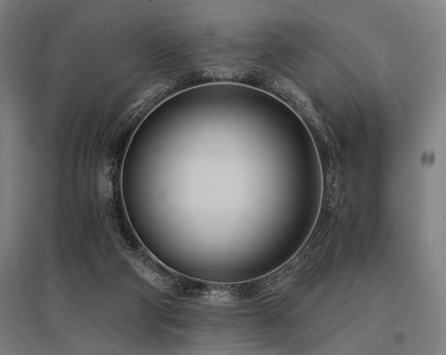X0000096180114200801181321