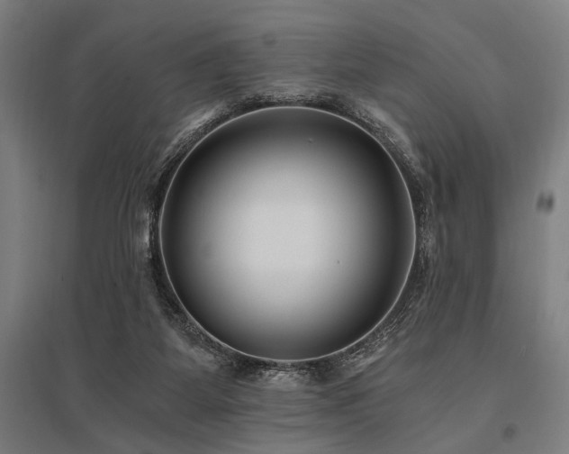 X0000096180115200801181321
