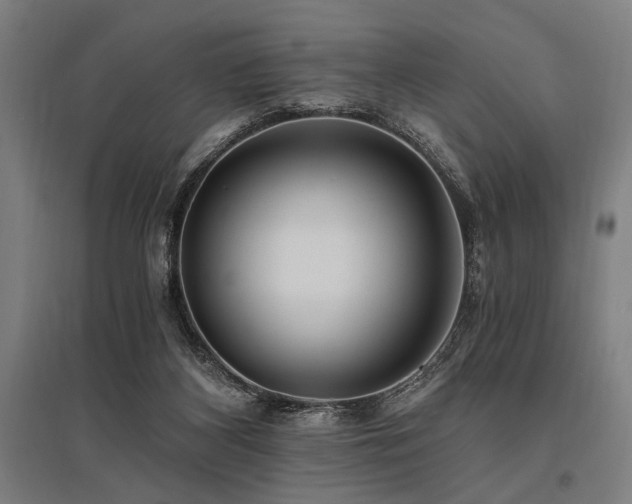 X0000096180116200801181321