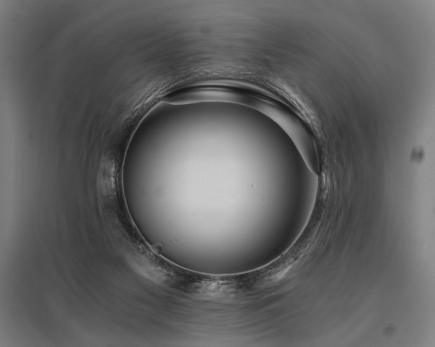 X0000096180117200801181321