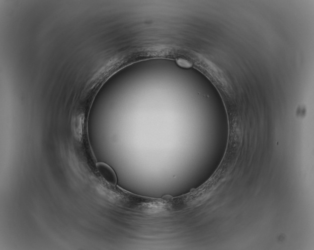 X0000096180118200801181321