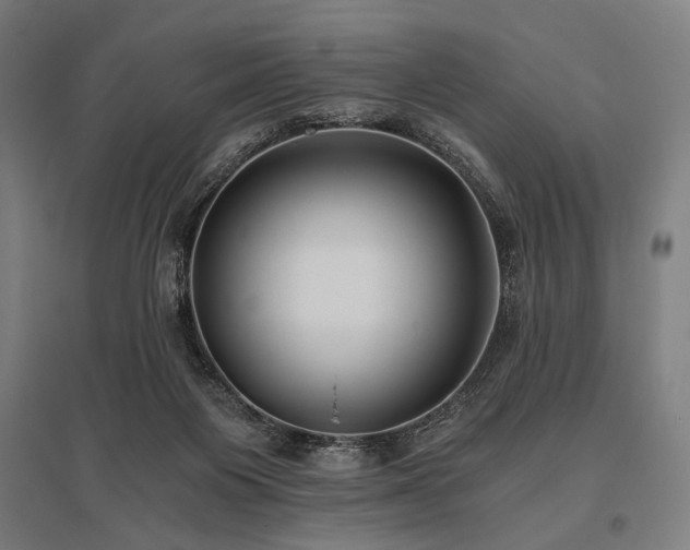 X0000096180119200801181321