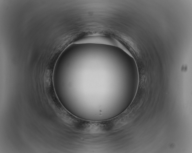X0000096180121200801181321