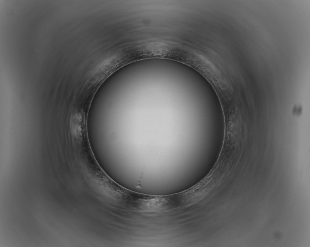 X0000096180122200801181321