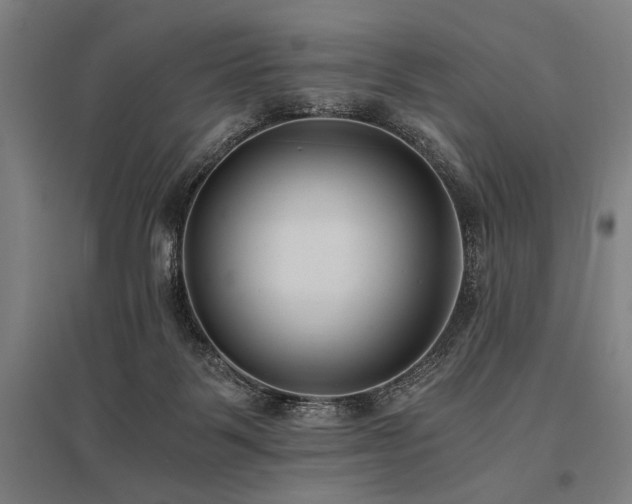 X0000096180123200801181321