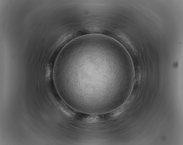X0000096180124200801181321