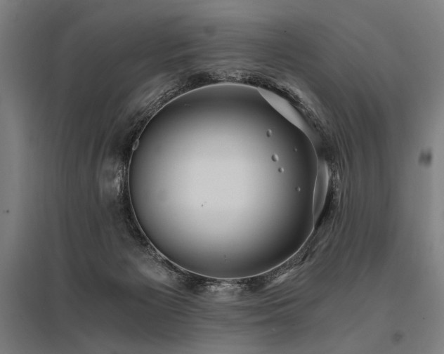 X0000096180125200801181321